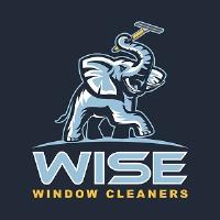 Wise Window Cleaners image 1